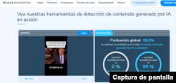 Captura de análisis en Hive Moderation. Sitio web con traducción automática de Google.