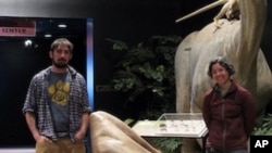 Nate Carroll, left, and Liz Freedman, a doctoral student in Jack Horner’s paleontology laboratory, pose with the complete reconstruction of the neck vertebra of an Alamosaurus.