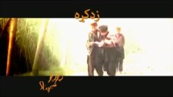 ډیوه ریډیو په ټې وي