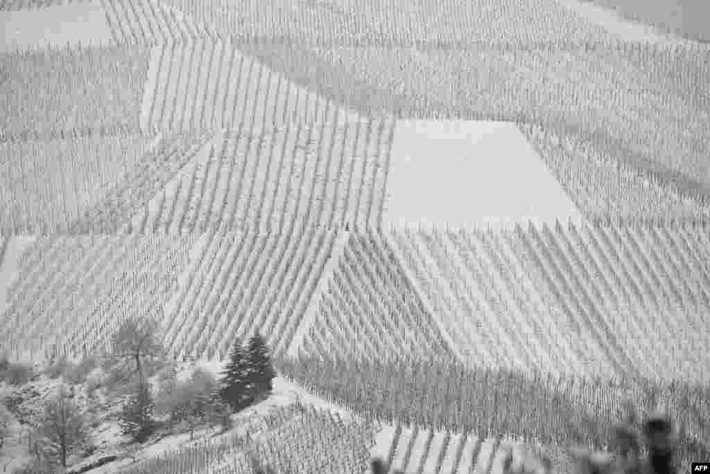 People walk in snowy vineyards in Eisental near Baden-Baden, southern Germany.