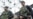 Germany Heightens Security Over Terror Threat