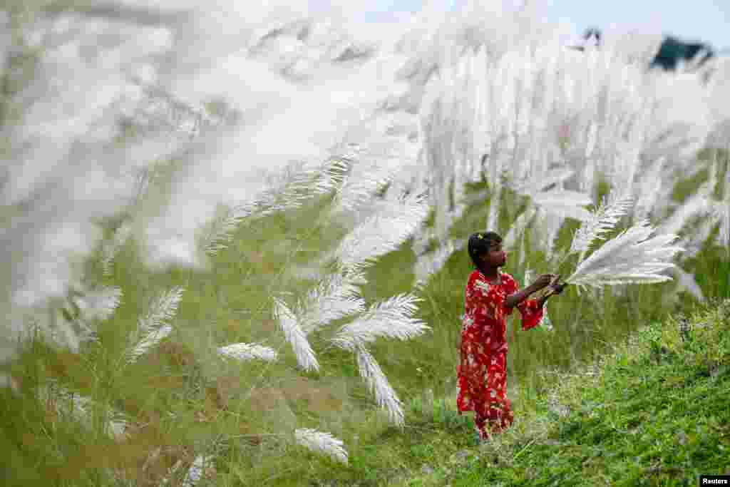 A girl picks catkins at a field amid the COVID-19 pandemic in Sarighat, on the outskirts of Dhaka, Bangladesh.