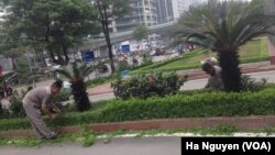 FILE - Maintenance workers tend to some bushes in Hanoi, where most people who want a job can find one. 