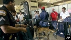 美国机场（资料照片）