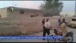 اخبار شامگاهی