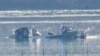 Search and rescue efforts are seen around a wreckage site in the Potomac River near Ronald Reagan Washington National Airport in Arlington, Virginia, early on Jan. 30, 2025.