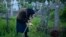Seorang perempuan lansia berjalan mengunjungi makam seorang kerabat saat pagi hari di kota Copaciu, Rumania.