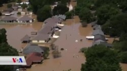 لافاوی باشوری ویلایه‌تی لویزیانا