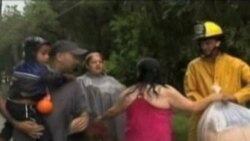 Peligro en las costas de Florida