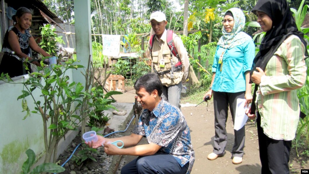 Pelepasan nyamuk yang mengandung bakteri wolbachia oleh tim peneliti UGM dan warga di Yogyakarta Januari lalu (foto: VOA/Nurhadi Sucahyo).