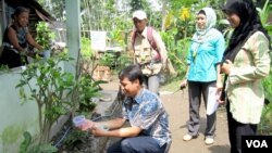 Pelepasan nyamuk yang mengandung bakteri wolbachia oleh tim peneliti UGM dan warga di Yogyakarta Januari lalu (foto: VOA/Nurhadi Sucahyo).