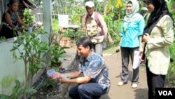 Pelepasan nyamuk yang mengandung bakteri wolbachia oleh tim peneliti UGM dan warga di Yogyakarta. (VOA/Nurhadi Sucahyo)