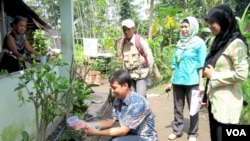 Pelepasan nyamuk yang mengandung bakteri wolbachia oleh tim peneliti UGM dan warga di Yogyakarta. (VOA/Nurhadi Sucahyo)