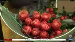 دلدادگان جهان در پی ابراز عشق و عاطفه با گل رز در روز والنتاین