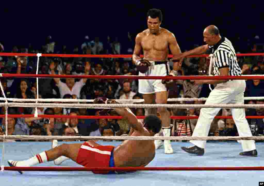 Muhammad Ali memperhatikan George Foreman yang roboh saat pertandingan di Kinshasa, Zaire, 30 Oktober 1974. (AP Photo)