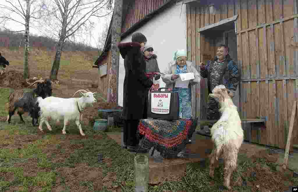 A woman reads a ballot during parliamentary election in the western Russian village of Klukino, some 470 km (294 miles) from Moscow, December 4, 2011. (Reuters)