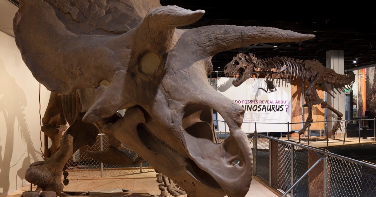 Last American Dinosaurs Re-Imagined at Smithsonian