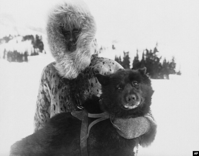 Gunnar Kaasen, shown with his dog Balto, the heroic dogsled team leader, are shown in the early 1920s. (AP Photo)