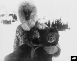 Gunnar Kaasen, shown with his dog Balto, the heroic dogsled team leader, are shown in the early 1920s. (AP Photo)