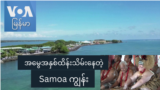 အမွေအနှစ်ထိန်းသိမ်းနေတဲ့ Samoa ကျွန်း