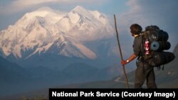 A hiker looks out onto Denali summit. 