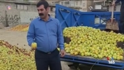 بحران قیمت‌ها در ایران؛ میوه و سبزی هم در حال حذف از سبد غذایی مردم
