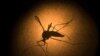 Zika Virus Detected in India's Kerala State 