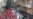 Syrian Activists Say 5 Killed in Homs Province
