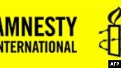 ორგანიზაცია „საერთაშორისო ამნისტიის“ დასკვნა
