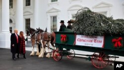 Дональд Трамп и Мелания Трамп встречают рождественскую елку в Белом доме. Вашингтон, 19 ноября 2018