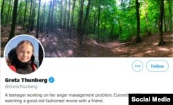 Screenshot of Greta Thunberg's Twitter profile page.