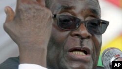  Robert Mugabe a déjà évoqué la tenue d'élections cette année au Zimbabwe