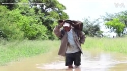 Animals Rescued After Torrential Rainfall Floods Areas of Bolivia