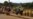 Water Shortages Plague Major Cameroon Cities