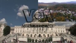 Amerika Manzaralari: Global oziq-ovqat, mashina bozori, qozoqlar