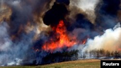 Un incendio forestal de grandes proporciones arrasa cerca de Kumanovo, Macedonia del Norte, el 30 de julio de 2024.