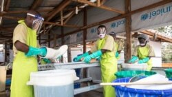 Deuxième cas de décès dû à la fièvre hémorragique Ebola a été enregistré à Mwenga