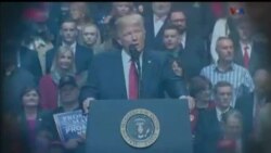 اخبار شامگاهی