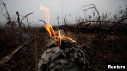 Francisco, quien escribió una encíclica en 2015 sobre la protección del medio ambiente contra el calentamiento global, a menudo ha defendido los derechos de los pueblos nativos de la región amazónica.