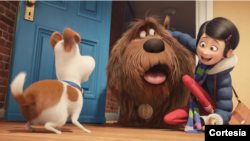 The secret life of Pets