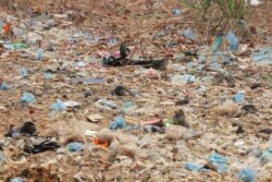 Conservationists say plastic waste is posing a heath threat to fish in Lake Malawi. (L. Masina/VOA)