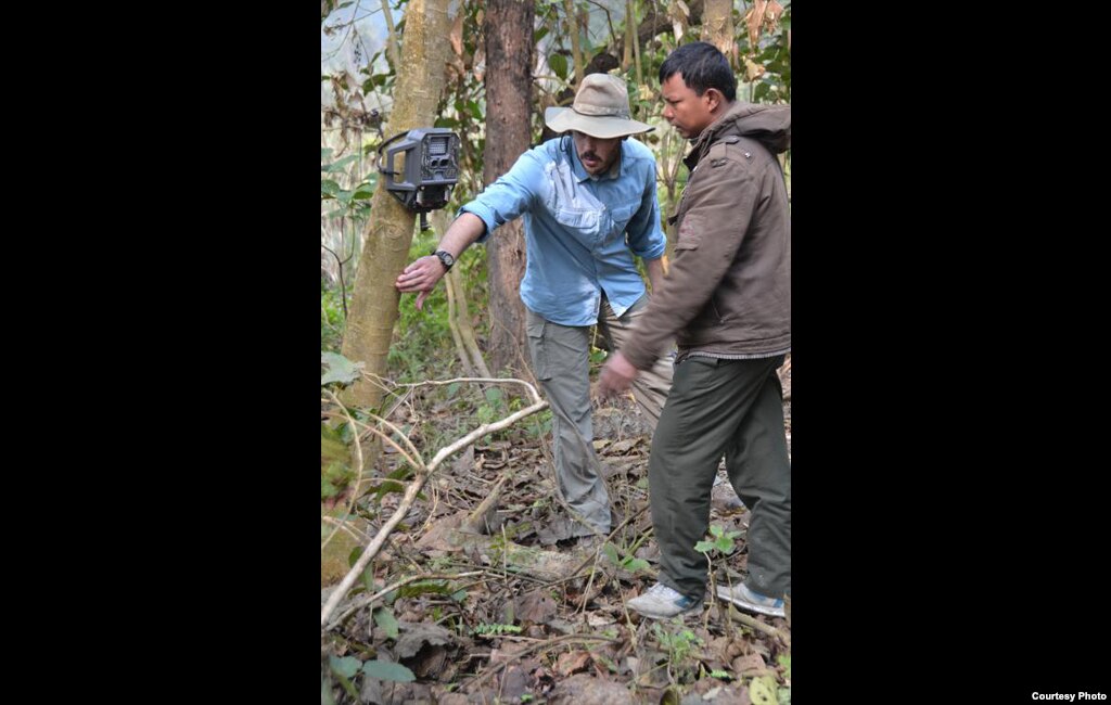 Each camera trap uses two cameras to capture both sides of a tiger, as each cat's stripes are unique and are used to identify them. Credit: Center for Systems Integration and Sustainability, Michigan State University