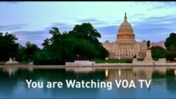 Live Talk Special Coverage: Zimbabwe 2022 By-elections