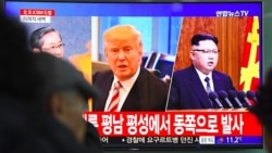 媒体观察(海涛)：川习通话，华盛顿是否将孤军面对朝鲜？北京开世界政党大会，朝鲜是否参加？