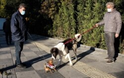 Two men wearing masks to help protect against the spread of coronavirus, watch their dogs playing in a public garden, in Ankara, Turkey, Nov. 12, 2020.