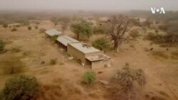 NGO Rescues Former President's Lions, Hyenas Left in Zoo