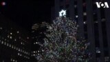Daur Ulang Pohon Natal Rockefeller Center