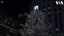 Daur Ulang Pohon Natal Rockefeller Center