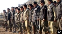 Çekdarên PKK'ê.