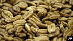 Shelled pecans are shown at the Navarro Pecan Company in Corsicana, Texas, Friday, Nov. 21, 2008.